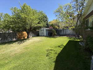 Expansive backyard featuring a lush lawn, mature trees, wood privacy fencing, and a detached storage shed