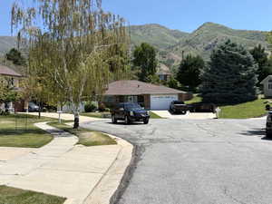 Suburban street featuring paved sidewalks and mature trees