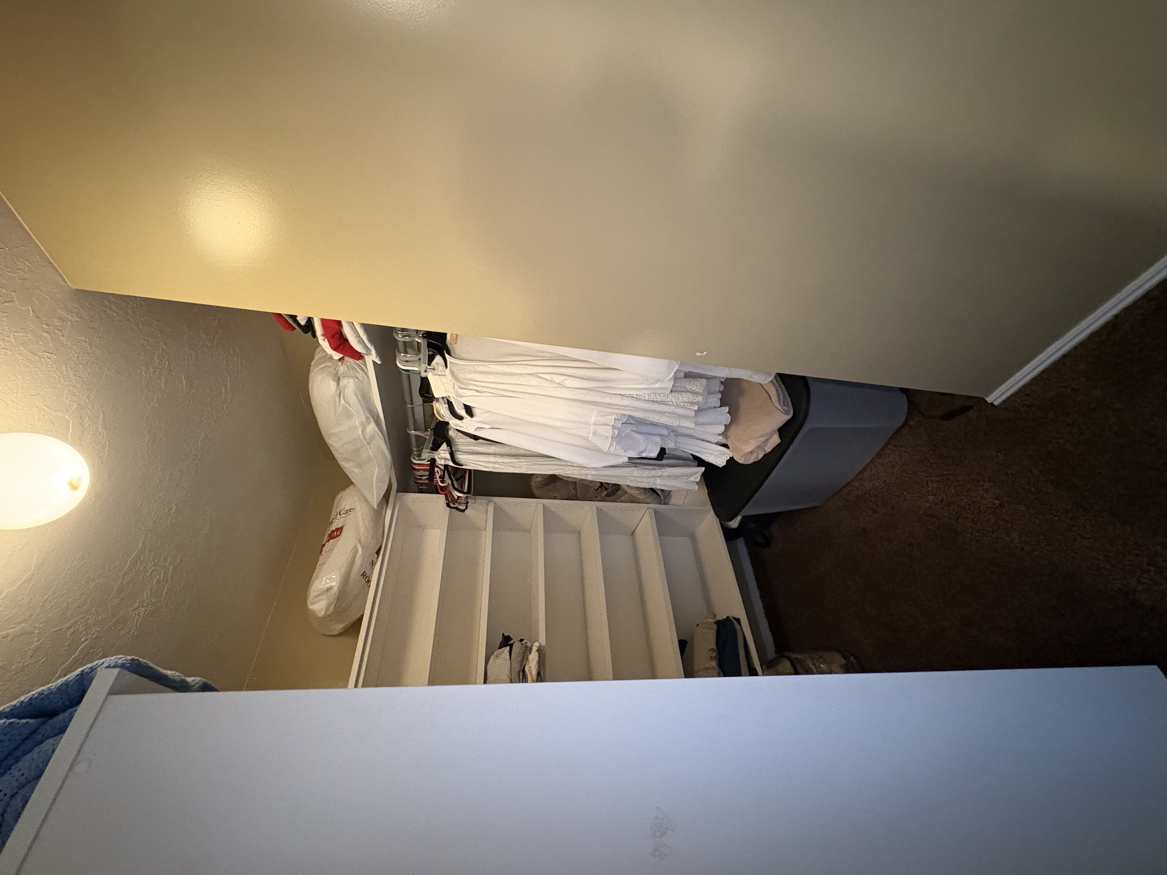 Compact closet space featuring built-in shelving, clothing rods, and textured carpeting