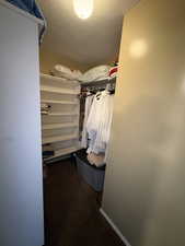 Compact closet space featuring built-in shelving, clothing rods, and textured carpeting