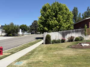 Expansive front yard featuring a manicured lawn, established landscaping, and mature trees