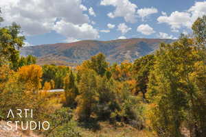 Distant mountain landscape featuring varied tree coverage and a bright sky with scattered clouds
