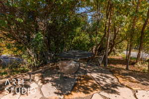 Stone patio surrounded by mature trees