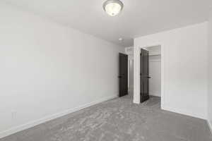Neutral gray carpet flooring