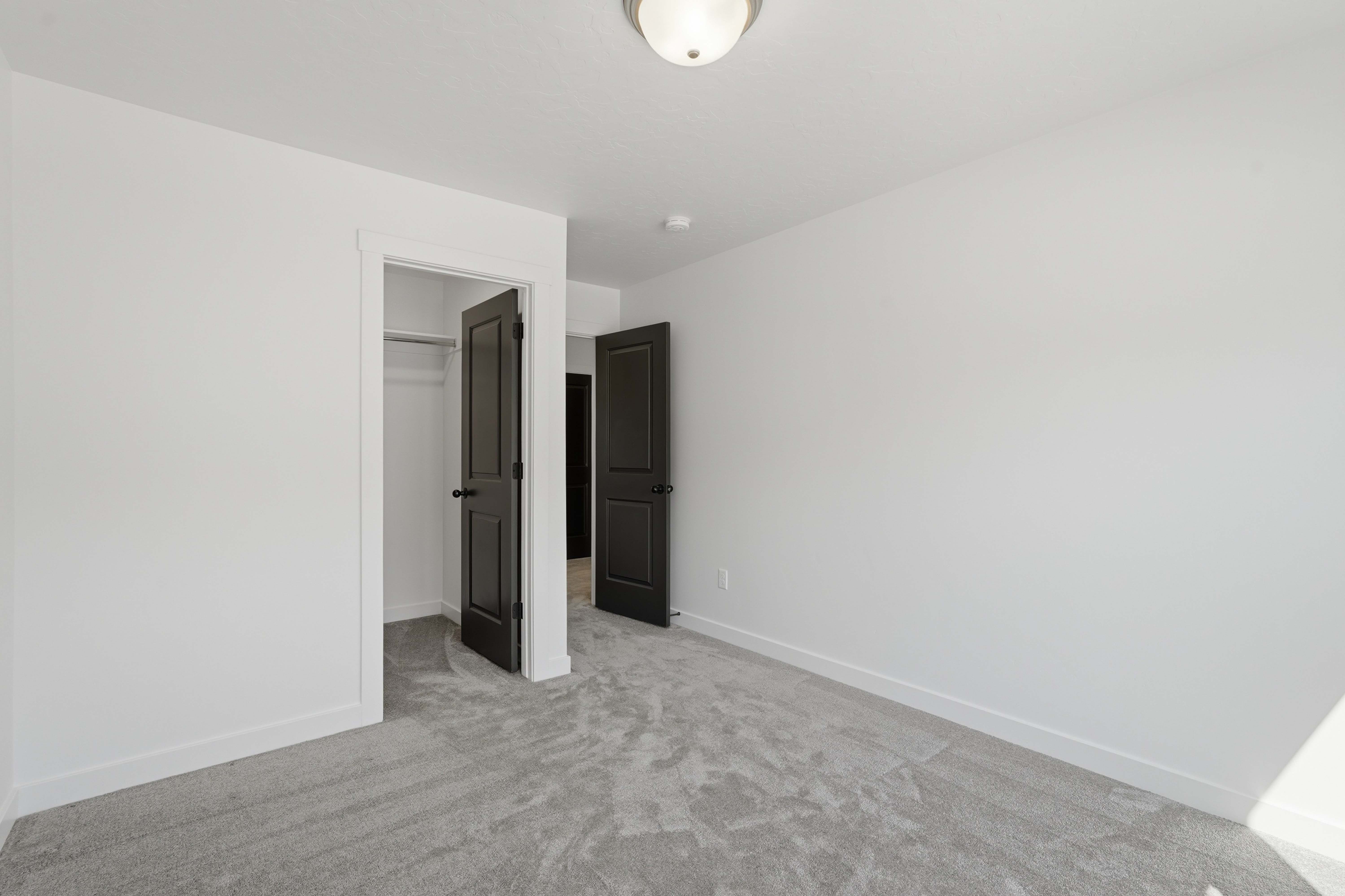 Bright room featuring light gray carpet, white walls, and dark paneled interior doors