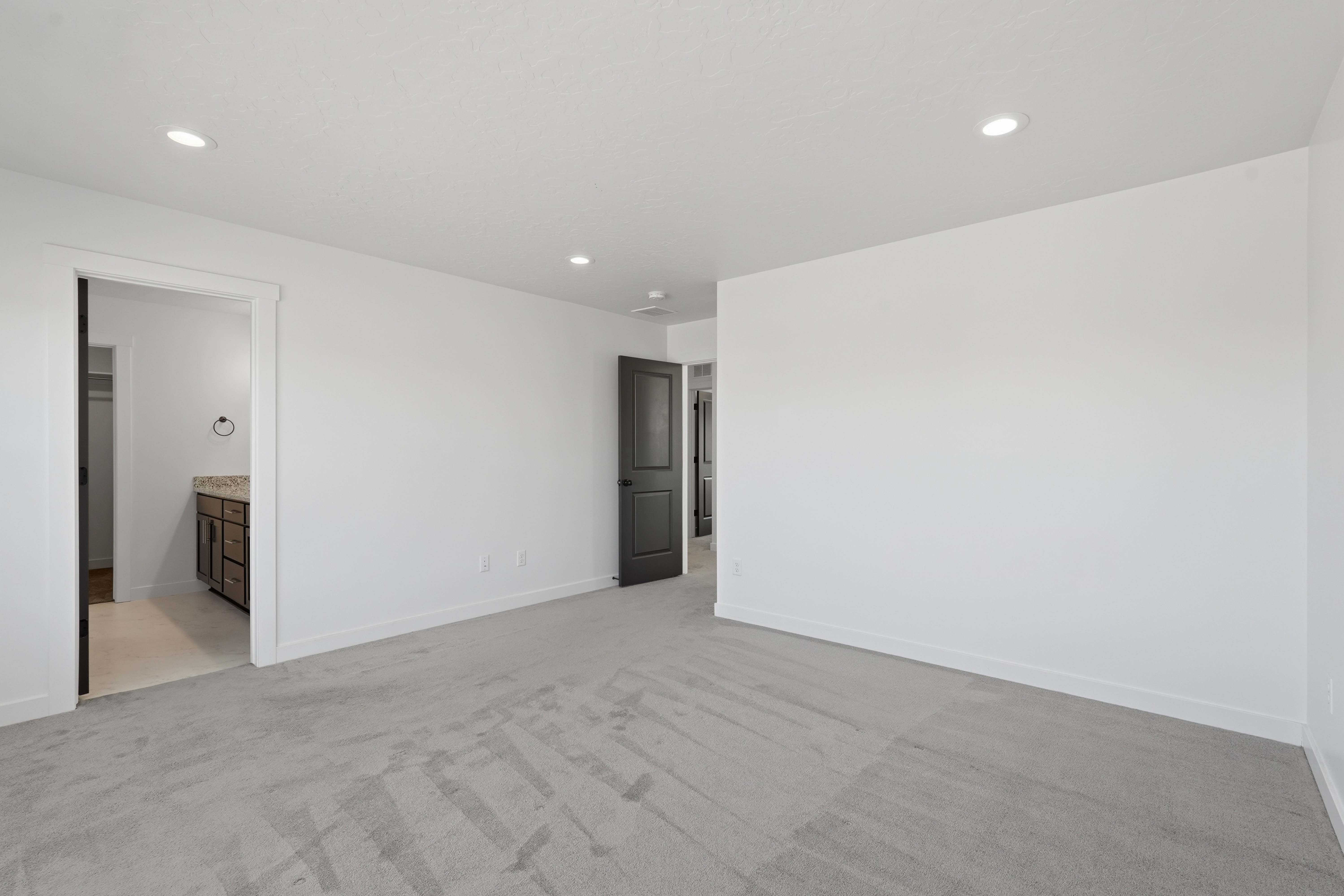 Bright room featuring light gray carpet flooring and white walls