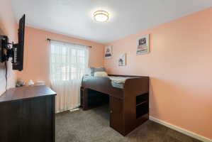 Room featuring a flush-mount ceiling light, window with white blinds and sheer curtains, and textured grey carpeting