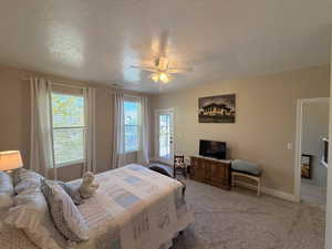 Carpeted room with a ceiling fan, two windows, and a glass-paneled door