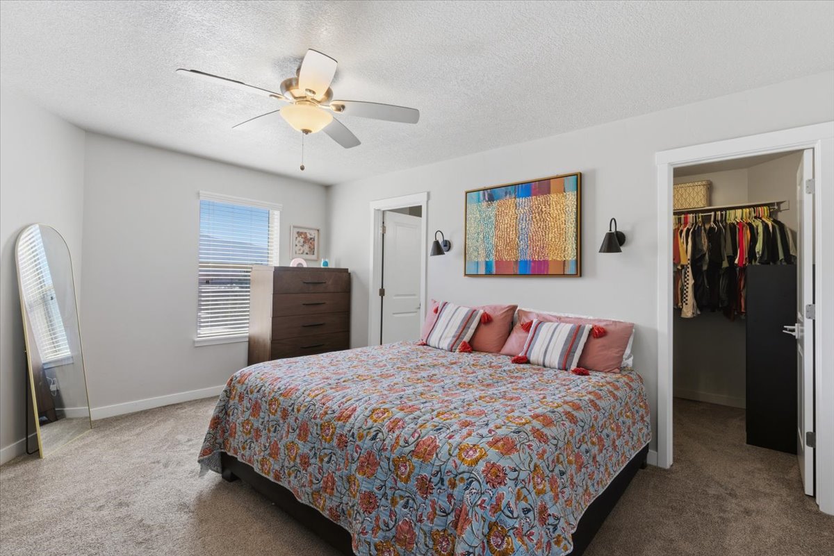 Carpeted room featuring a ceiling fan with integrated lighting, a window with horizontal blinds, and a walk-in closet with built-in hanging rods and shelving