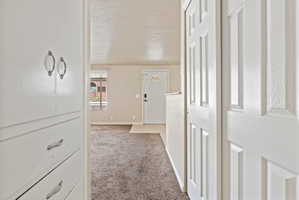 Entryway featuring white six-panel doors, built-in storage cabinetry with decorative pulls, and carpeting