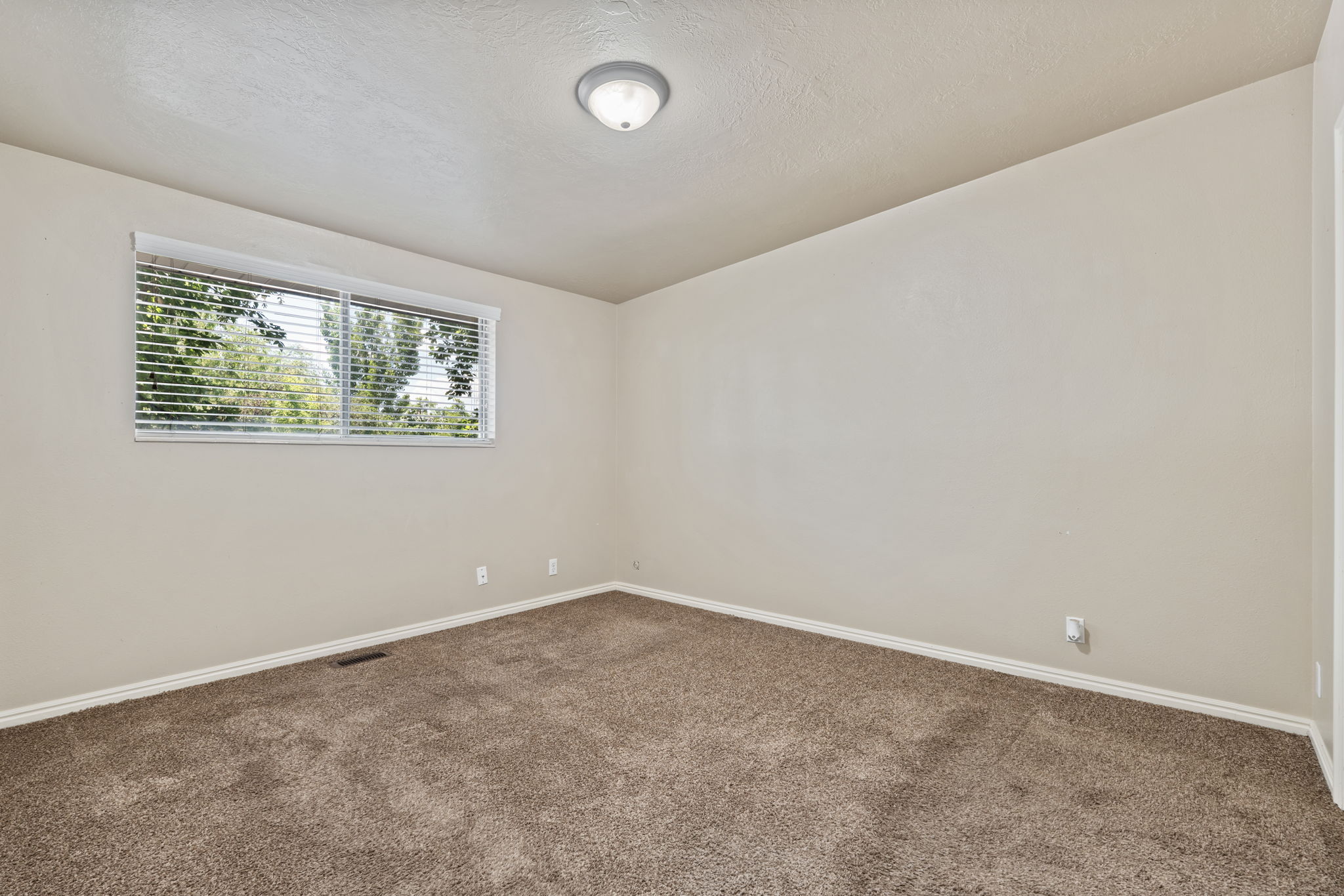 Carpeted room featuring a large window with blinds, a ceiling-mounted light fixture, and neutral-toned walls