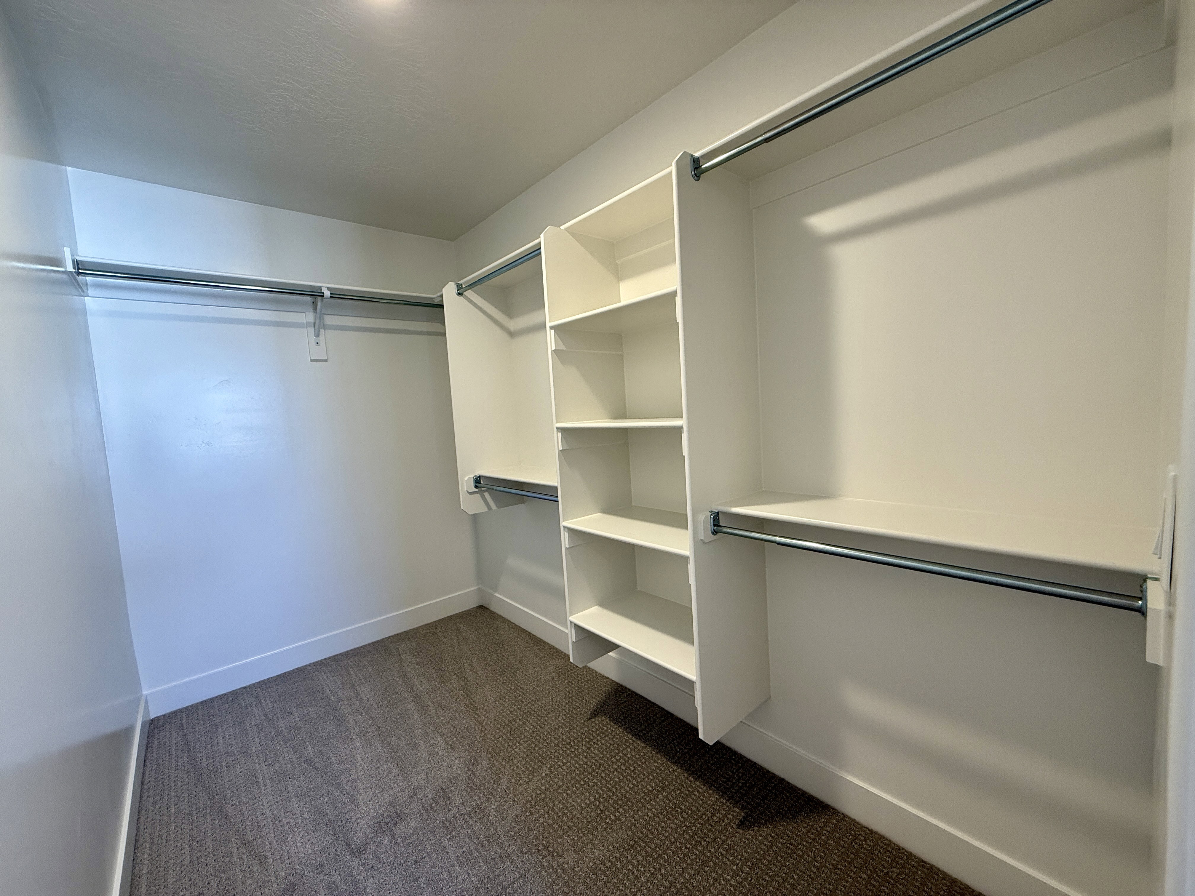 Walk-in closet featuring built-in shelving, multiple hanging rods, white walls, white trim, and neutral carpet flooring