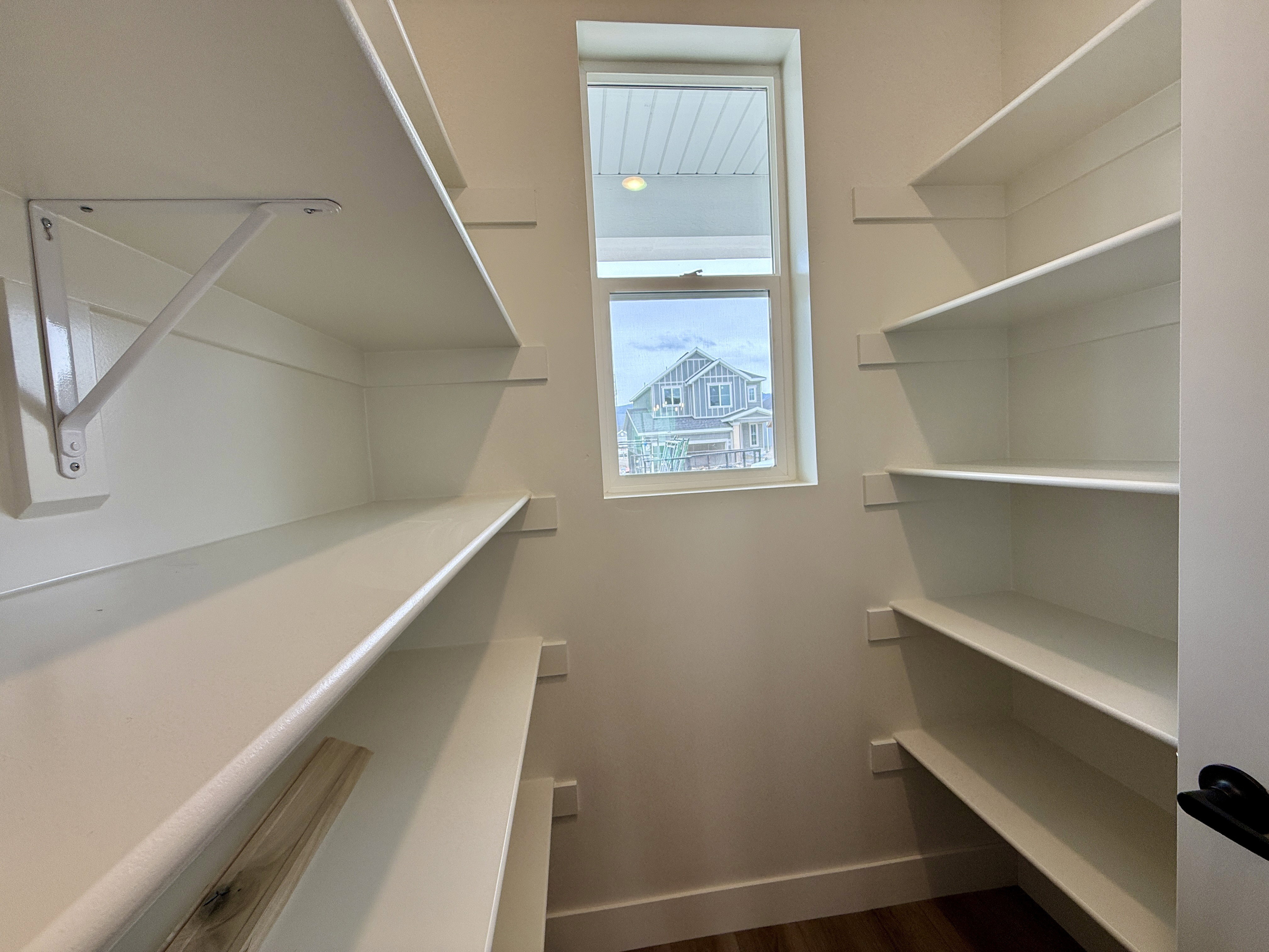 Dedicated pantry space featuring extensive built-in shelving, natural light from a window, and wood-finish flooring