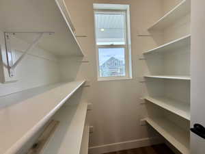 Dedicated pantry space featuring extensive built-in shelving, natural light from a window, and wood-finish flooring