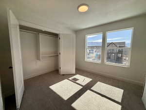 Carpeted room featuring two large windows, a built-in closet with double doors, and a ceiling-mounted light fixture