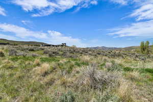 Expansive natural landscape featuring varied grasses and low-lying shrubs