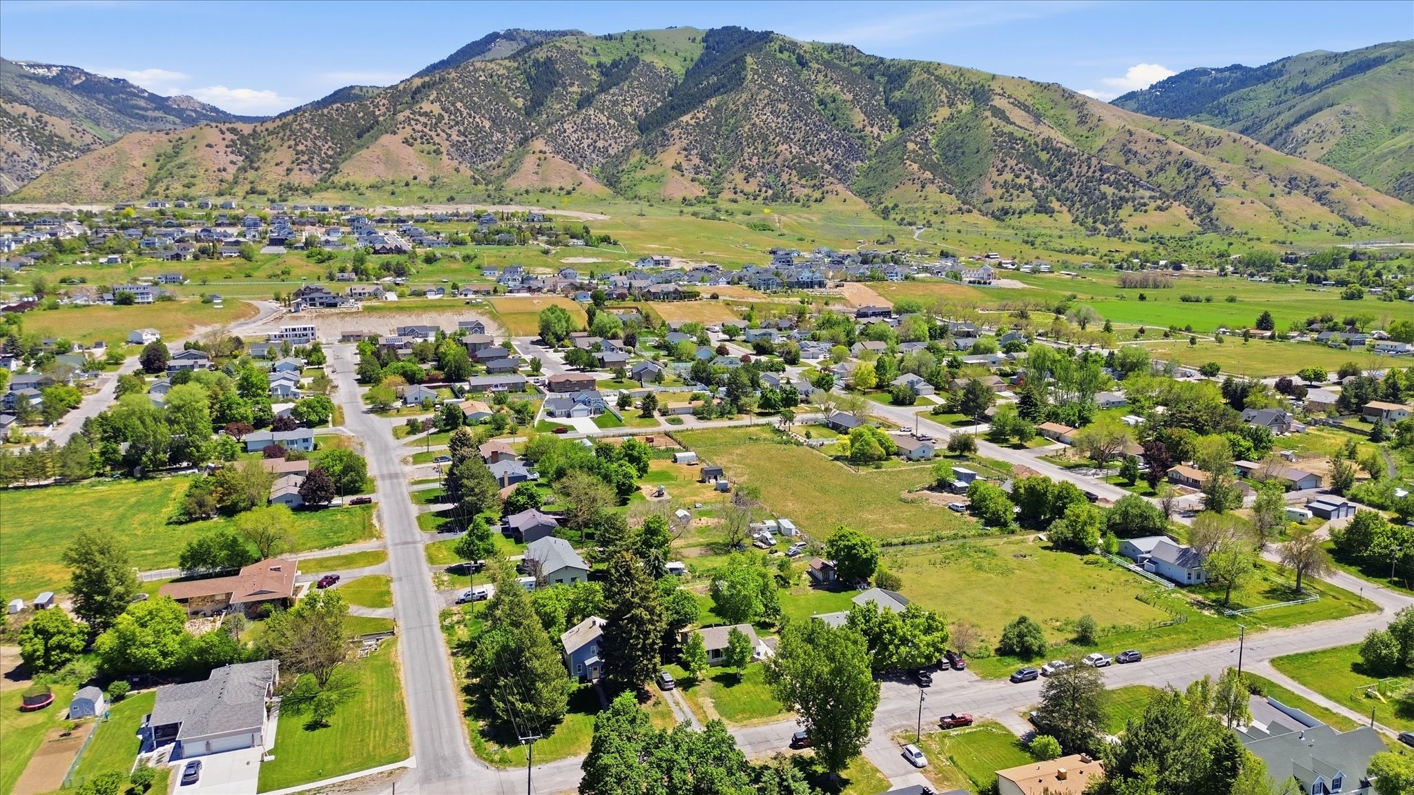 Expansive residential area featuring a network of streets, mature trees, and a backdrop of verdant mountains