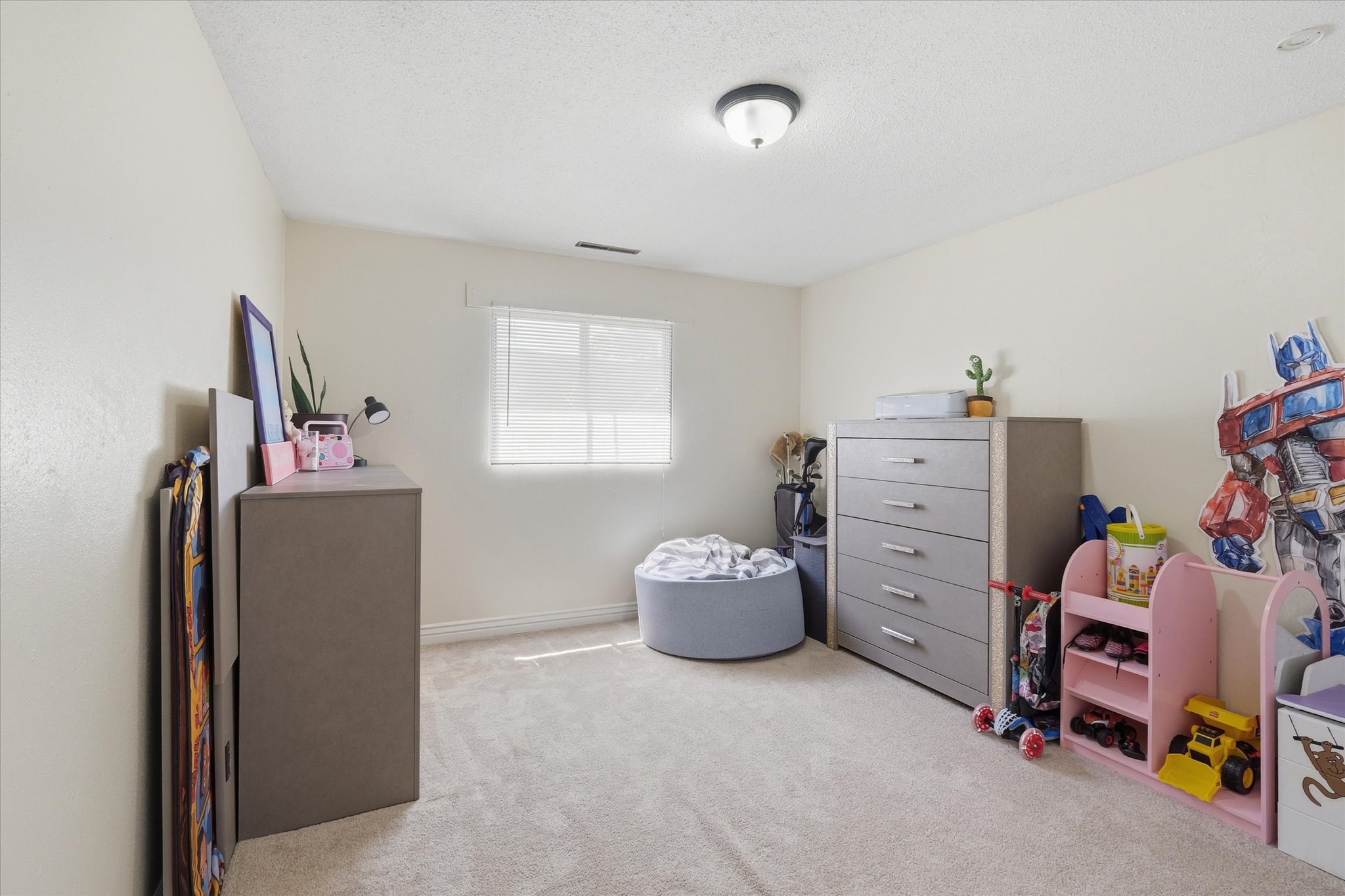 Carpeted room featuring light neutral wall paint, a ceiling-mounted light fixture, and a window with a roller shade