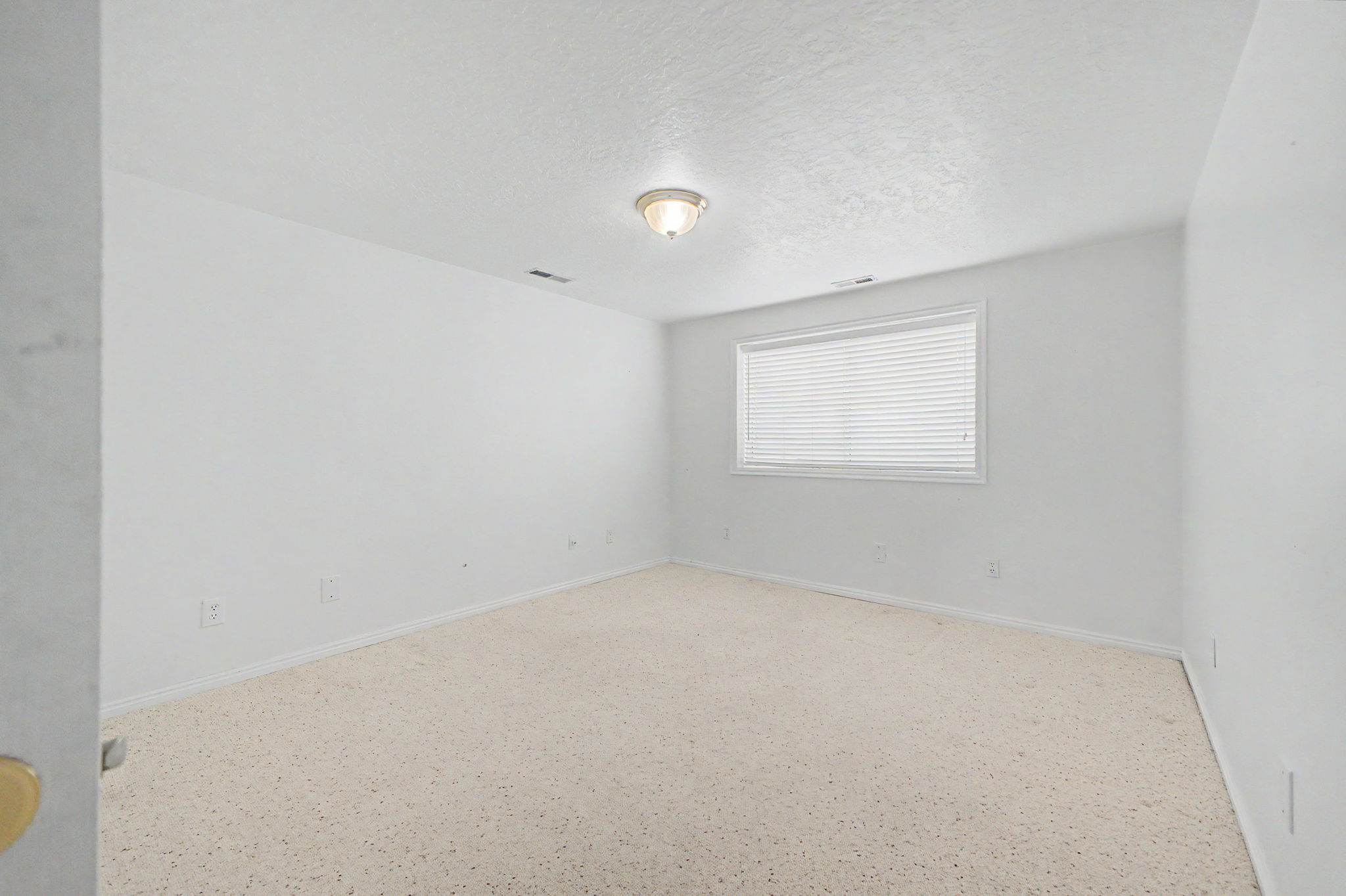 Room featuring light-toned carpeting, white walls, and a single window with blinds