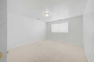 Room featuring light-toned carpeting, white walls, and a single window with blinds