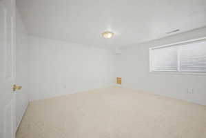 Spacious room featuring neutral carpet flooring, white painted walls, and a ceiling-mounted light fixture