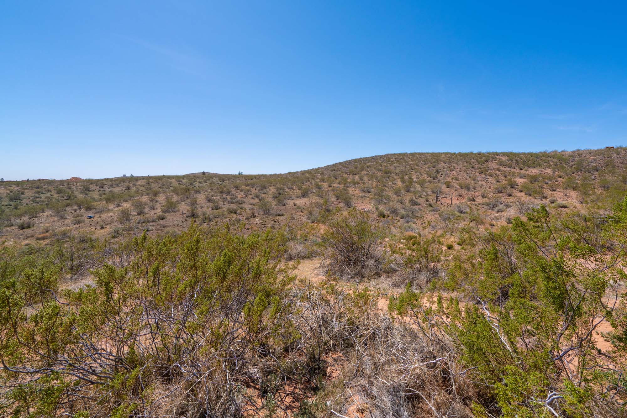 Expansive desert landscape featuring natural brush and clear skies