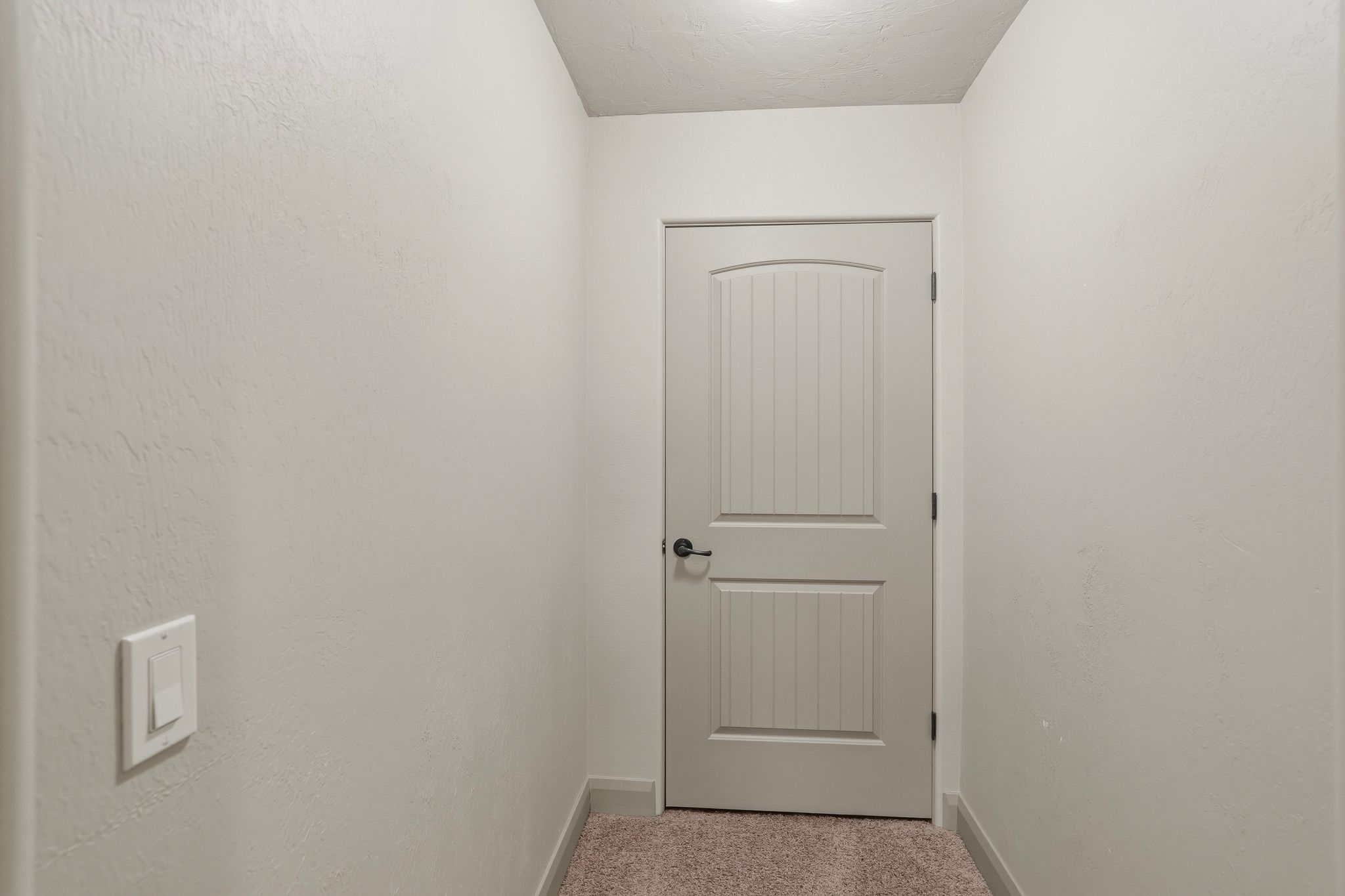 ADU hallway, carpeted hallway featuring a white paneled door with an arched top, dark hardware, and a modern light switch