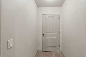 ADU hallway, carpeted hallway featuring a white paneled door with an arched top, dark hardware, and a modern light switch