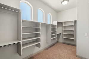 Primary suite, expansive walk-in closet featuring custom built-in shelving, multiple hanging rods, three arched windows, and soft carpet flooring