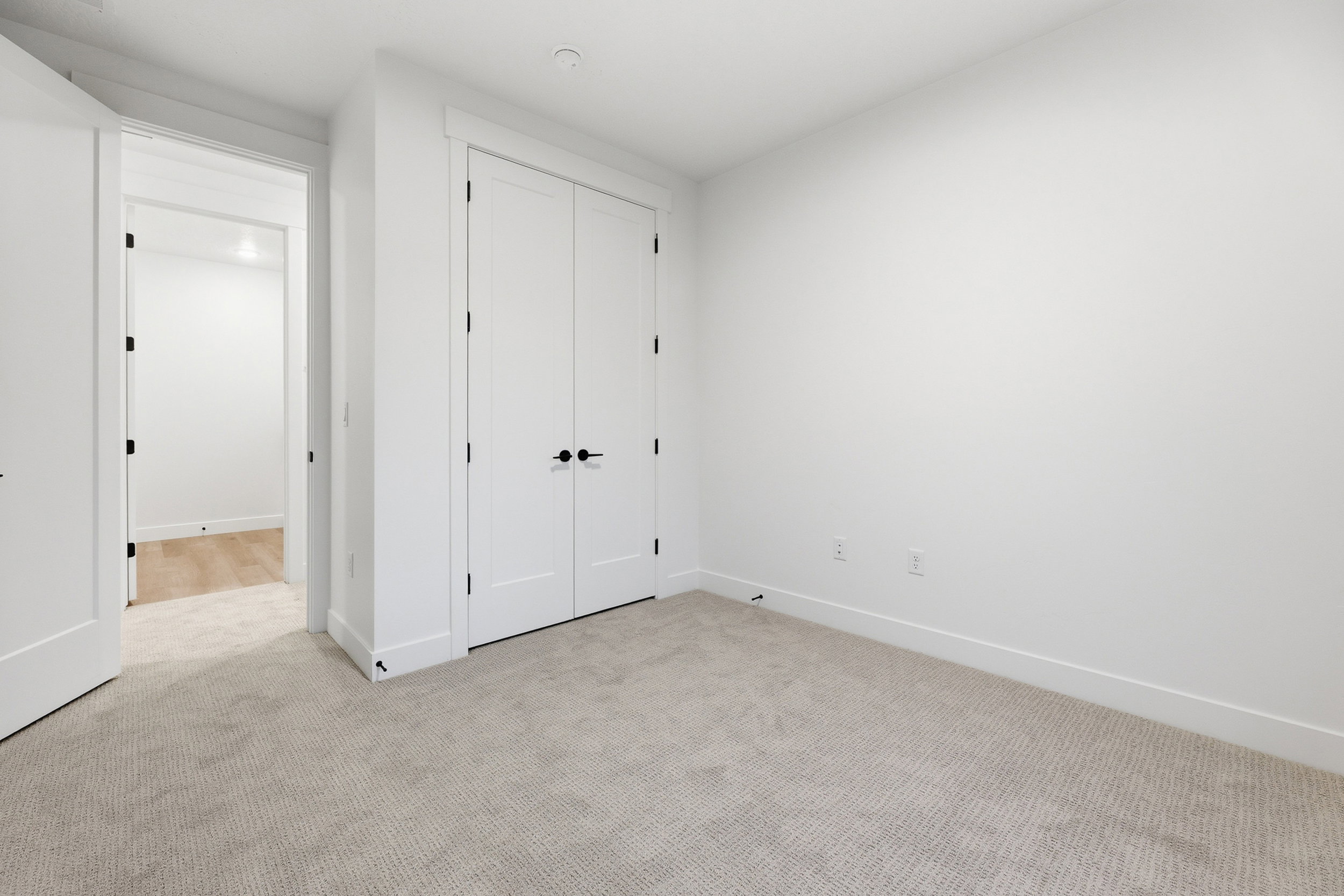 Carpeted room featuring a double-door closet with matte black hardware and a doorway to an additional space with wood-finish flooring