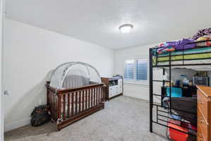 Room featuring light neutral wall paint, textured ceiling, and soft carpet flooring