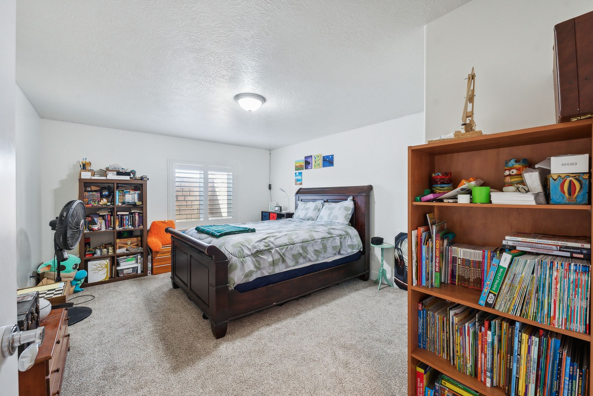 Carpeted room featuring a window with plantation shutters, a ceiling-mounted light fixture, and white walls