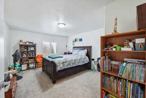 Carpeted room featuring a window with plantation shutters, a ceiling-mounted light fixture, and white walls