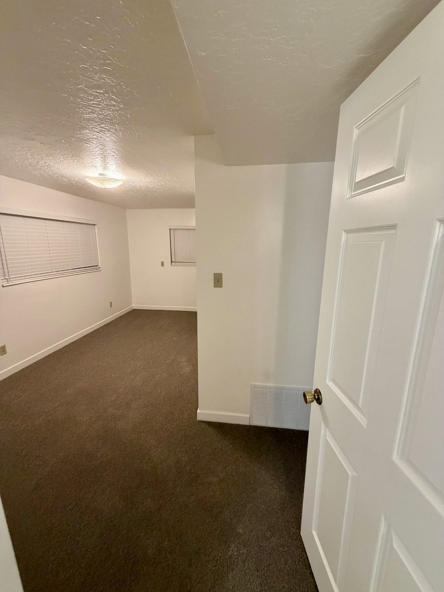 Open panel door revealing a room with brown carpet, white walls, and a ceiling-mounted light fixture