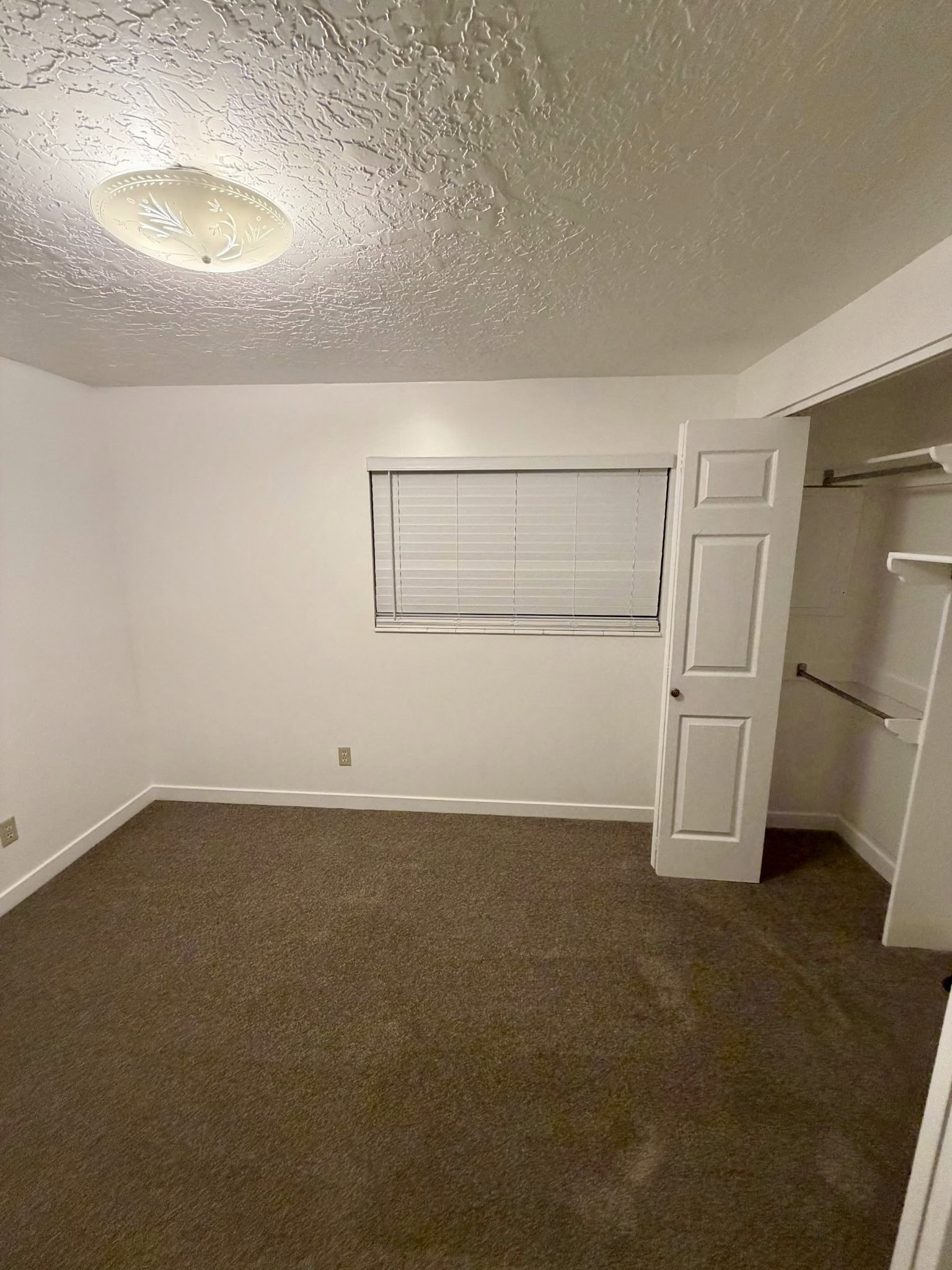 Carpeted room featuring a window with horizontal blinds, a ceiling-mounted light fixture, a paneled door, and an open closet with shelving and a hanging rod