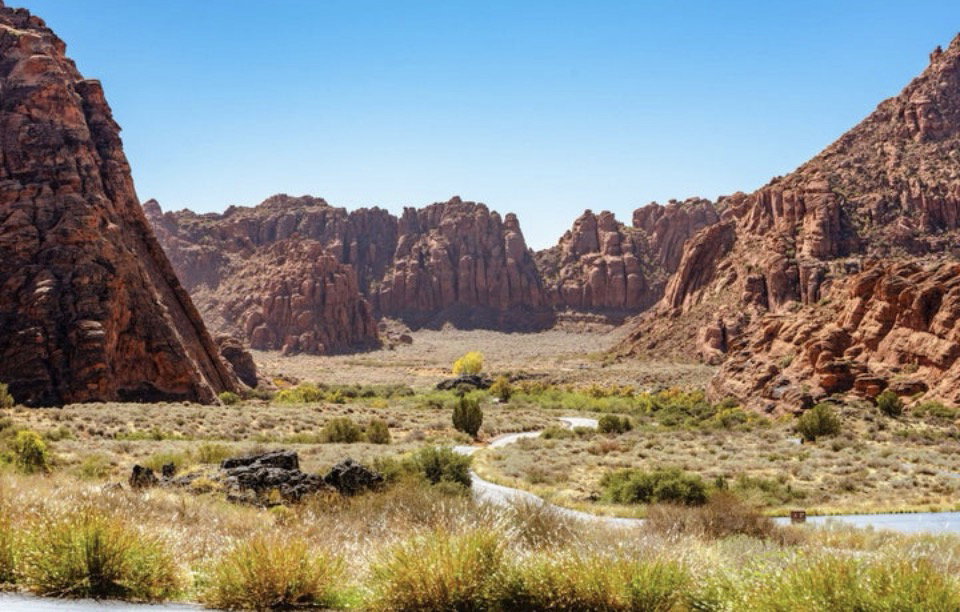 Red rock canyon landscape featuring a winding paved path, abundant desert foliage, and a clear blue sky