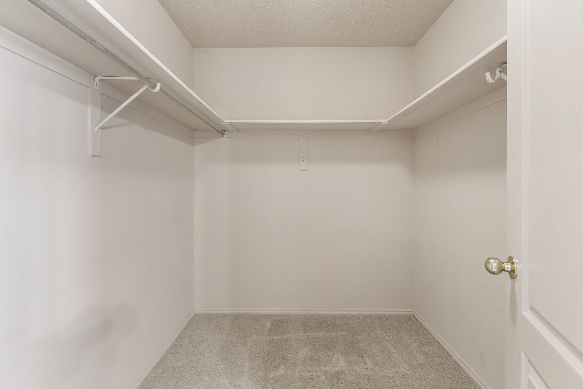 Spacious walk-in closet featuring light-colored walls, light-toned carpeting, and built-in white shelving with hanging rods