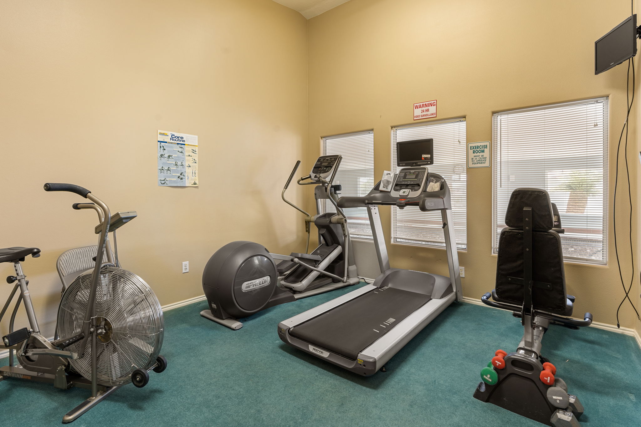 Fitness room featuring carpet flooring, multiple exercise machines, and ample natural light from three windows