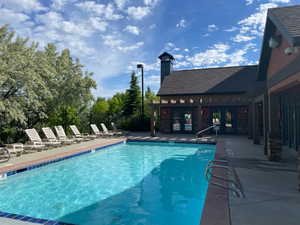 Outdoor swimming pool with integrated entry steps and perimeter lounge seating