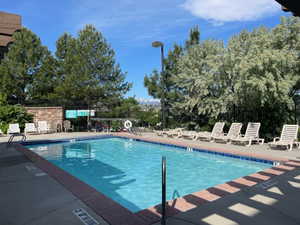 Outdoor swimming pool featuring a dark blue tile border, surrounding concrete decking, and a low stone wall with black metal fencing