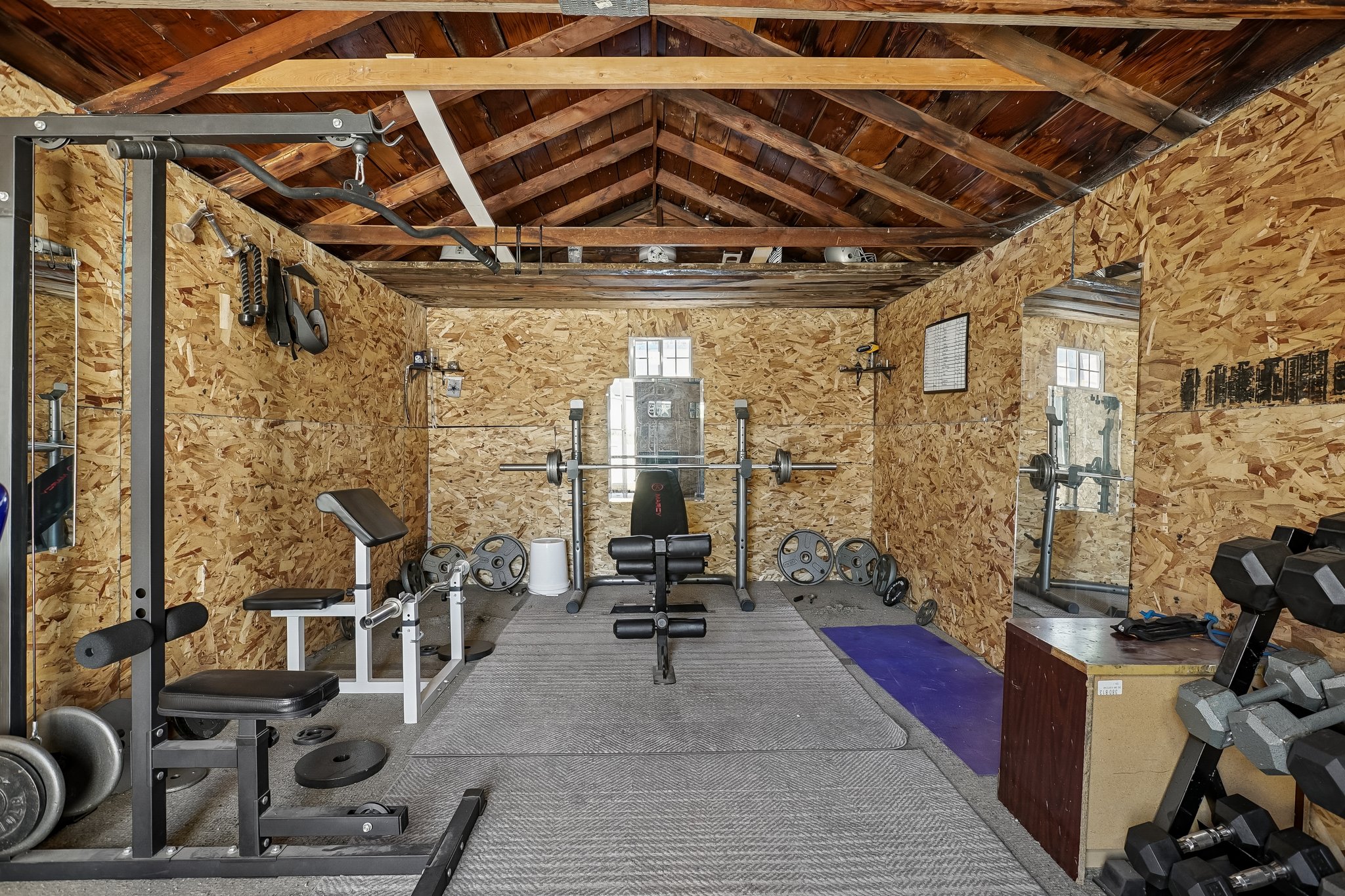 Full Gym in Detached Garage