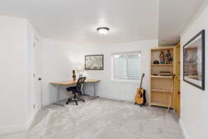 Carpeted room featuring a single window, built-in shelving, a panel door, and white baseboards