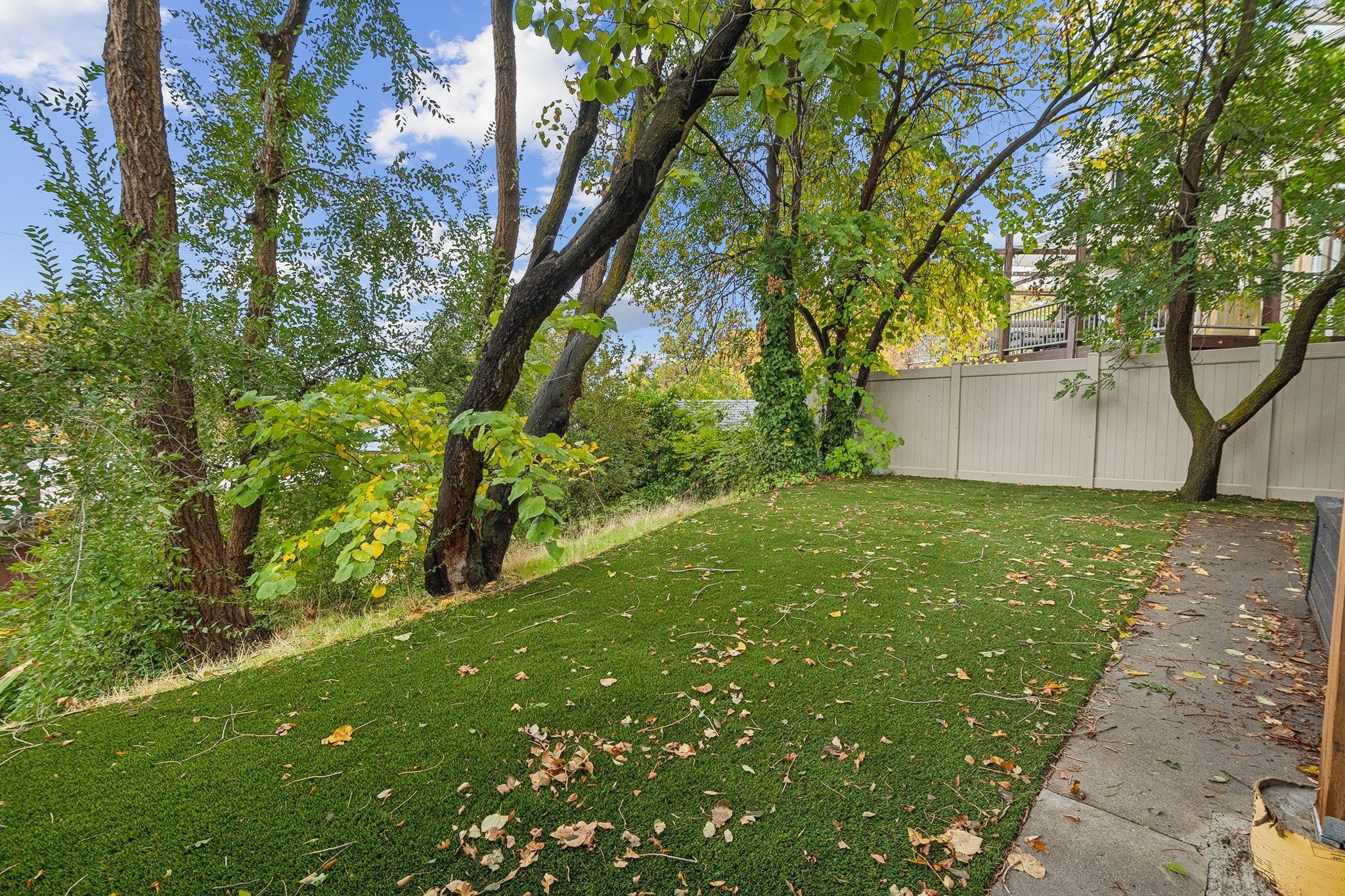 Expansive green turf area featuring mature trees and a privacy fence