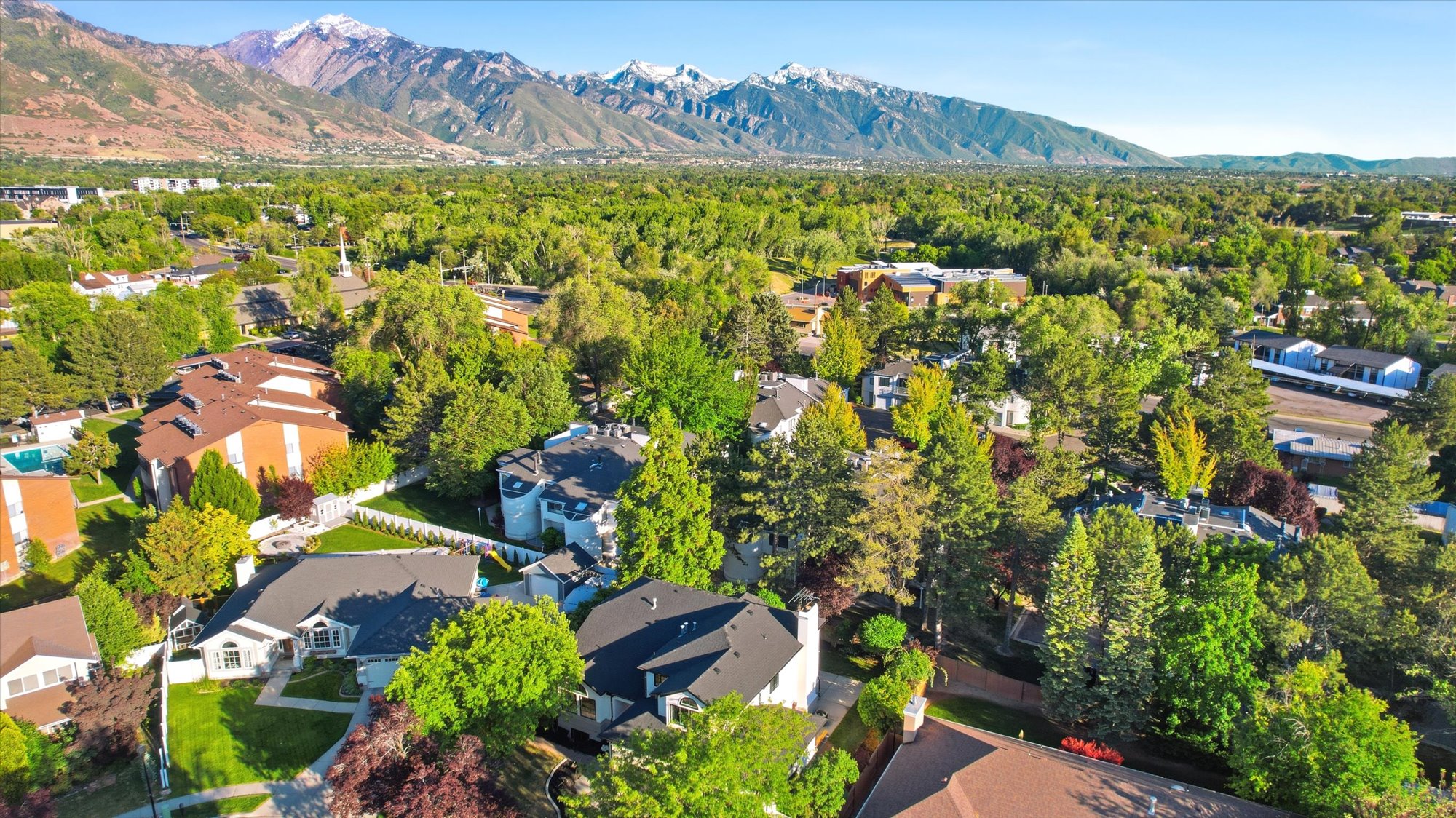 Aerial perspective showcasing a residential area with varied rooflines and extensive tree canopy