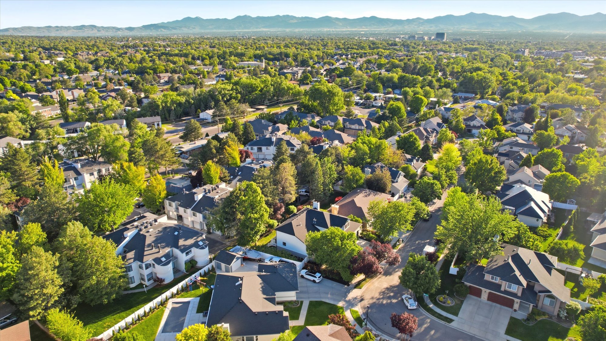 Residential neighborhood with abundant mature trees and mountainous backdrop