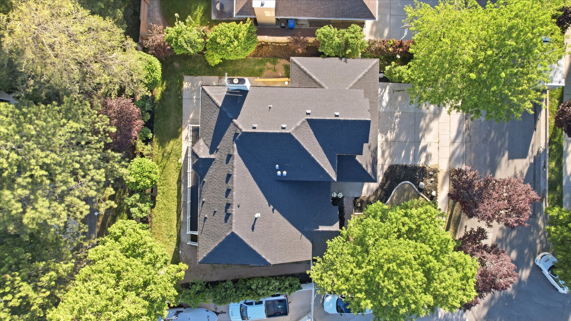 Expansive property featuring a multi-gabled dark shingle roof, mature perimeter trees, established landscaping, a paved driveway, and a visible chimney