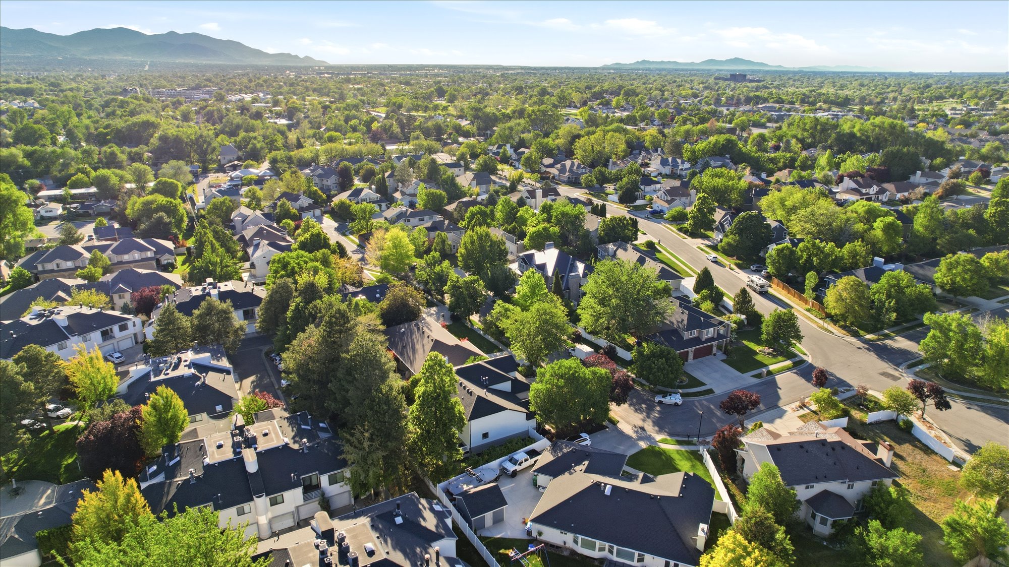 Expansive residential neighborhood featuring numerous mature trees and a dense canopy of green foliage