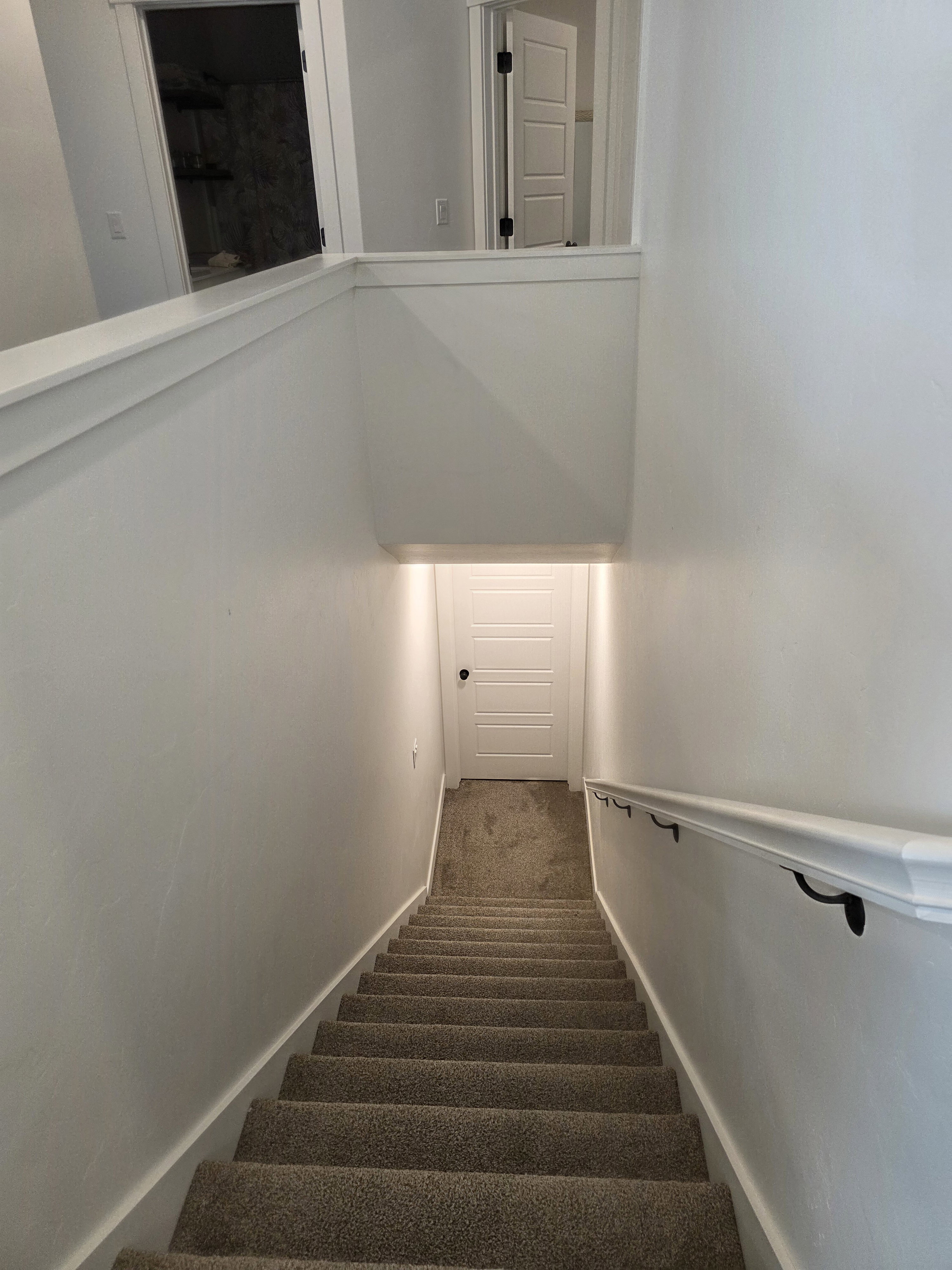 Carpeted stairway featuring a white paneled door at its base and a white handrail with black iron brackets