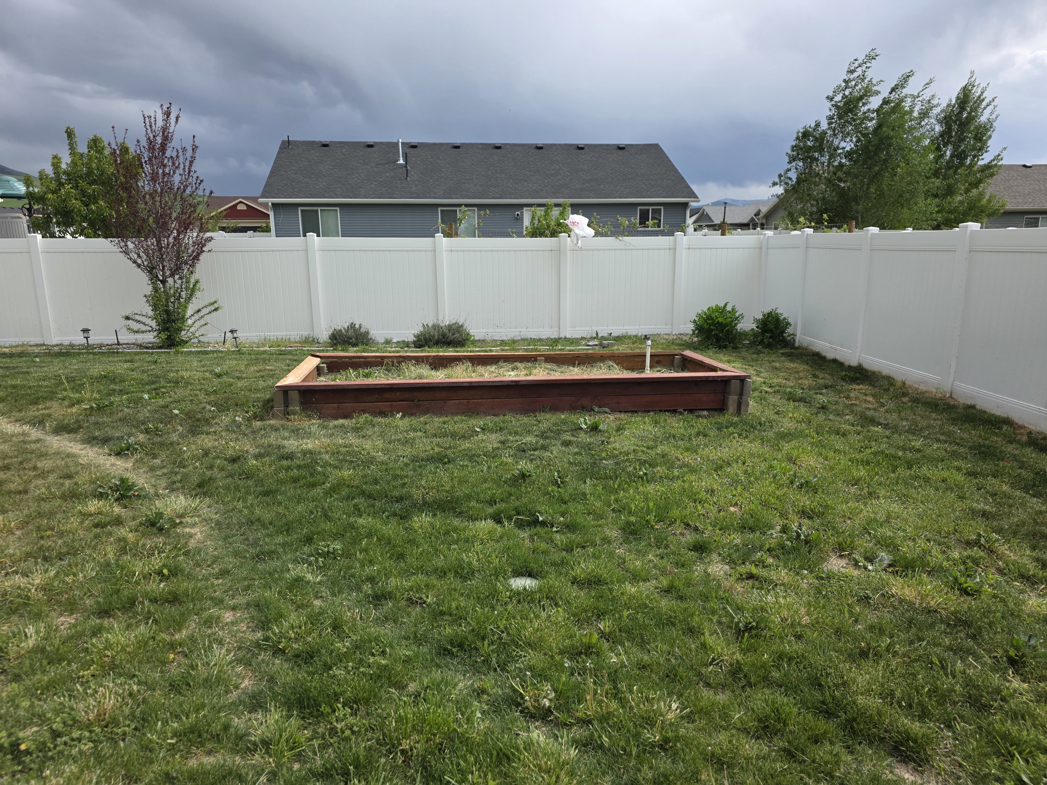 Expansive backyard featuring a wood-framed raised garden bed, a white vinyl privacy fence, and a mature tree