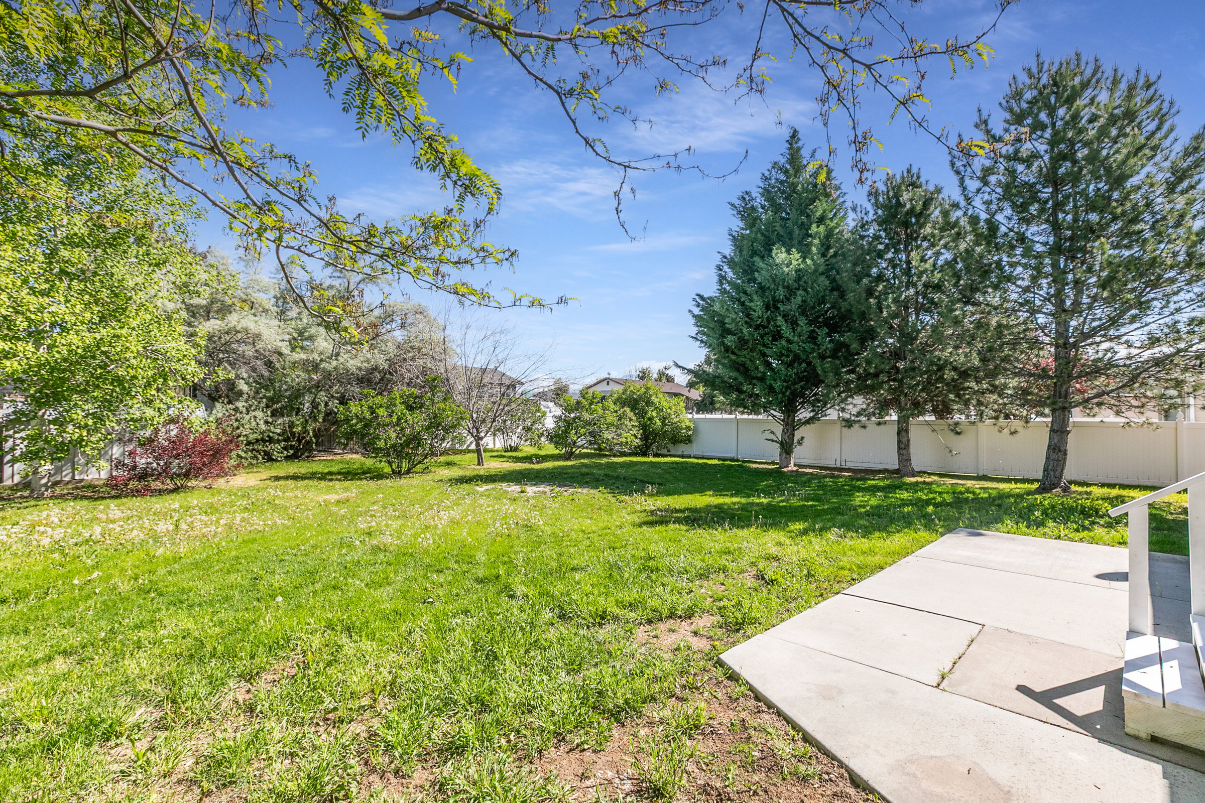 Expansive backyard featuring a lush lawn, mature trees, assorted foliage, and a white privacy fence